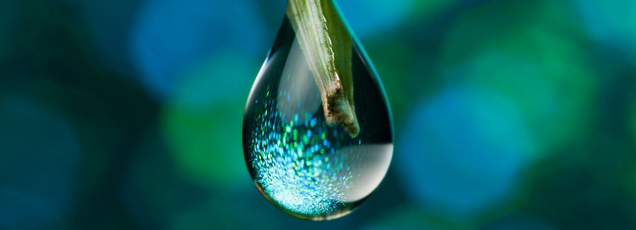 Close-up of a water droplet hanging on the end of a green stem with a blurred blue and green background.