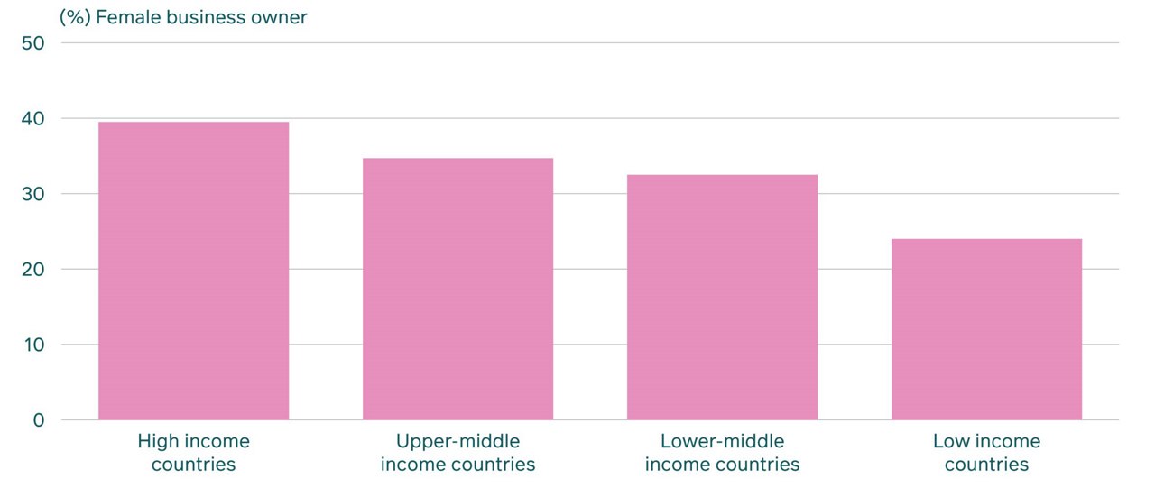 bar chart Female labour force participation