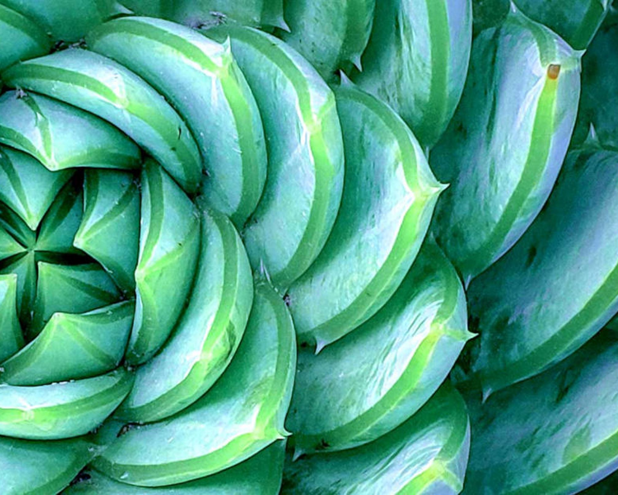 金融包摂 ― ポジティブな変化を促進させる