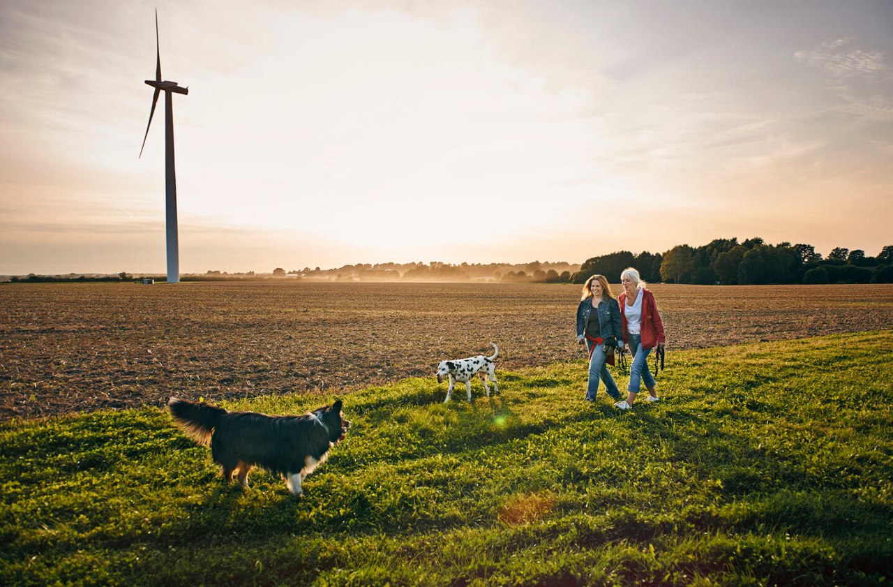 Two mature women taking a walk with their two dogs on field in Schleswig-Holstein, Germany