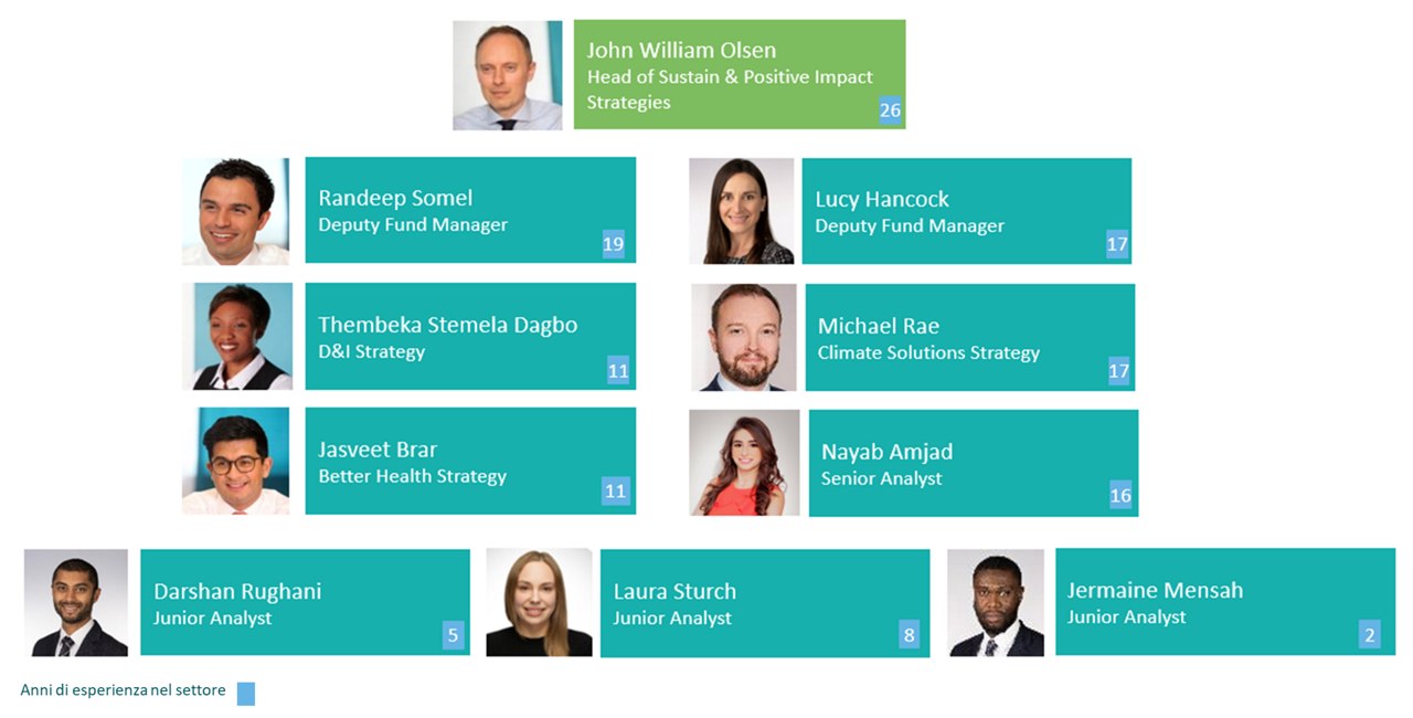 Team structure of sustain and positive impact strategies