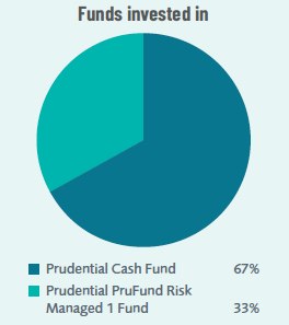 Pie chart showcasing different fund invested with percentage, Prudential Cash Fund: 67%, Prudential Prufund Risk Managed 1 Fund: 33%
