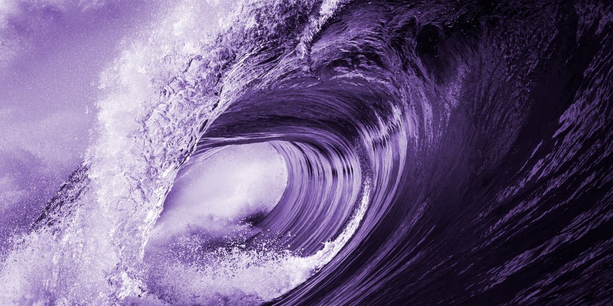 Purple high tide