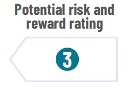 Arrow pointing to left and number 3 on it with title Potential risk and reward rating