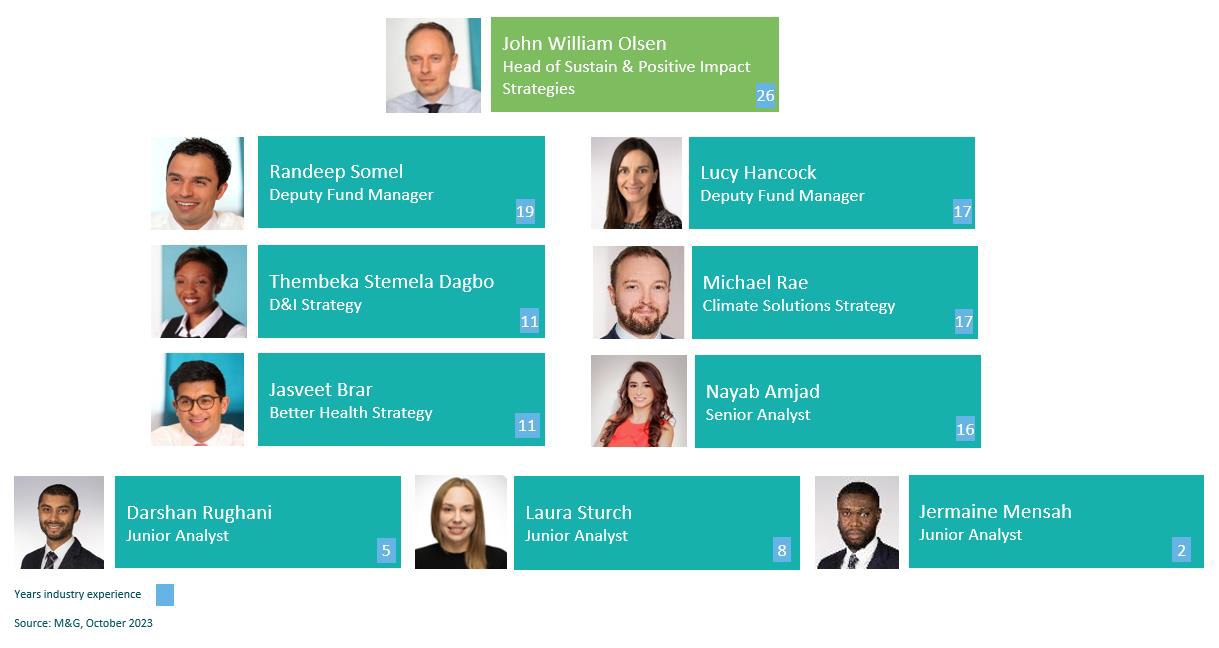 Team structure of sustain and positive impact strategies