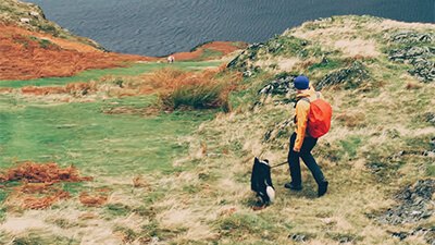 A person walks a dog on a hill, enjoying a scenic view of the ocean in the background under a clear sky.